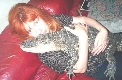 This is Missi, the lovely crocodile. A friend of mine surprised me by bringing him (yes, Missi is a boy) to my home. I was so happy to hold Missi in my arms, couldn't help myself, had to kiss him incessantly.